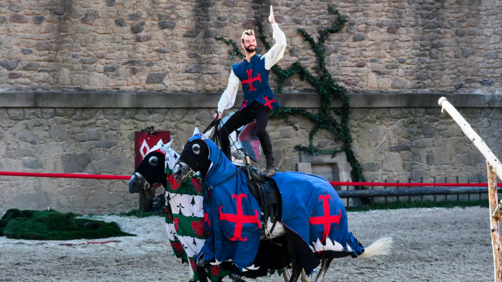 billet puy du fou