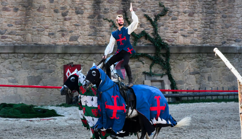 billet puy du fou