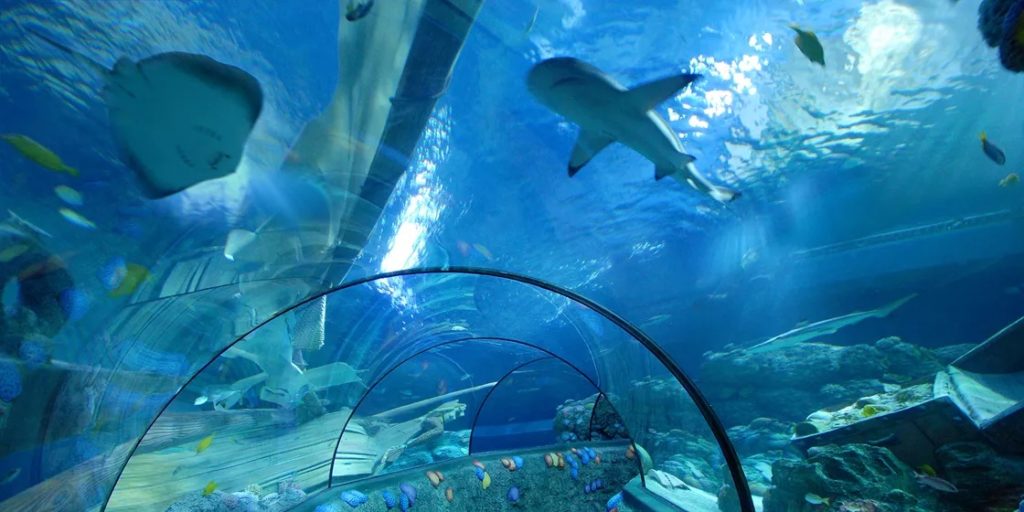 tunnel aquarium gardaland