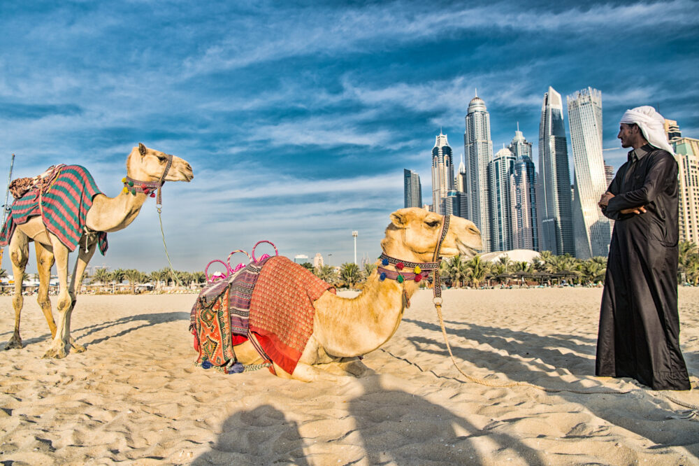 dubai que faire