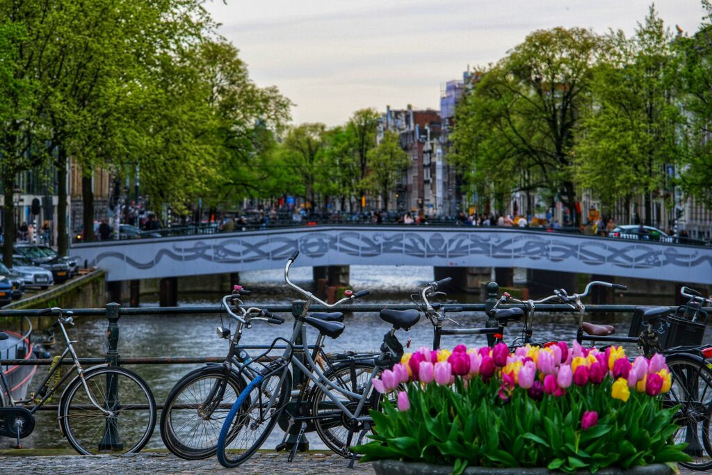Croisière sur les canaux d'Amsterdam - Pass Pass